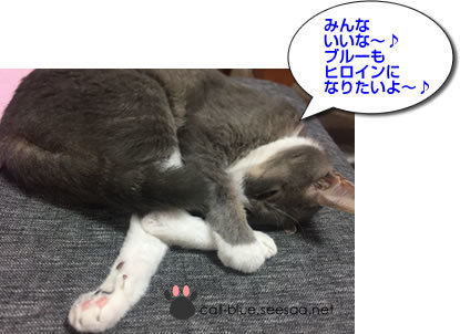 hiroin1.jpg